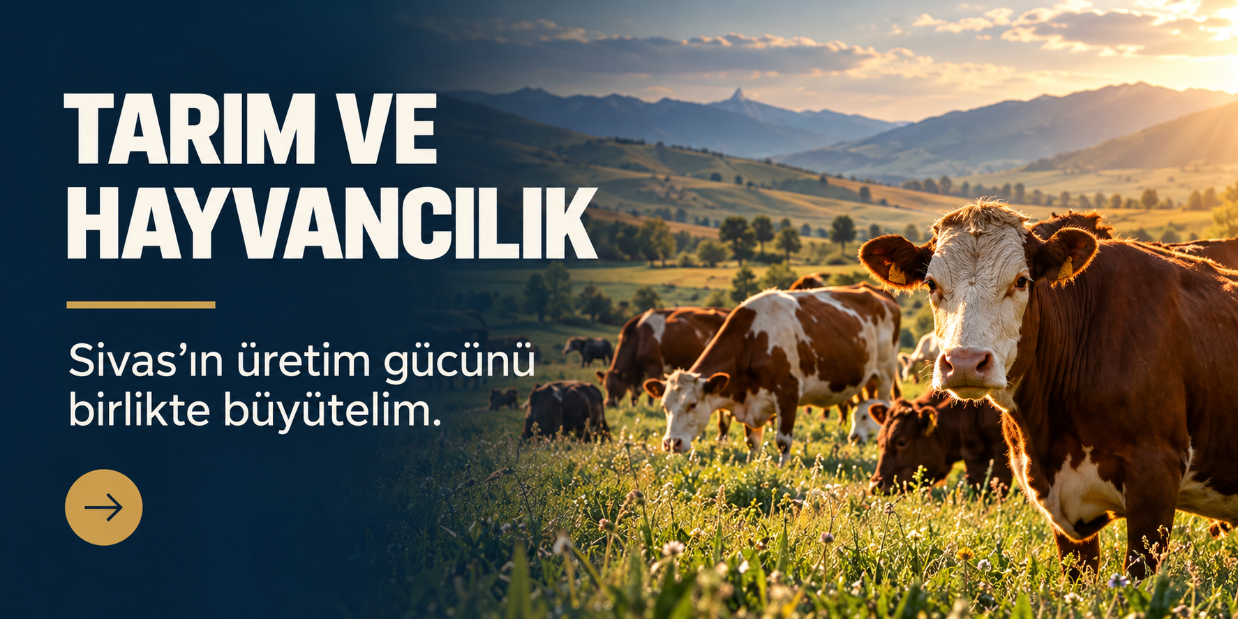 Tarım ve Hayvancılık — Sivas’ın üretim gücünü birlikte büyütelim.